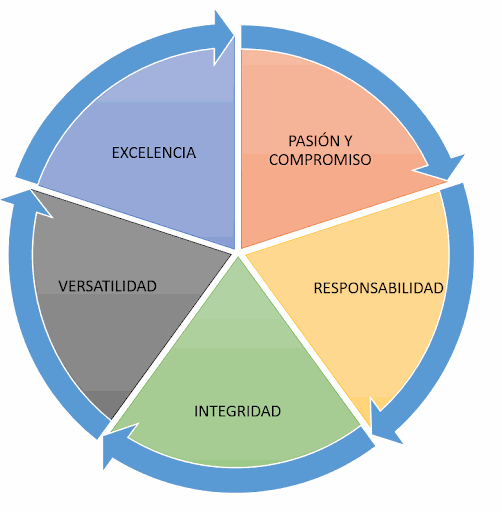 Odoo • Texto e imagen